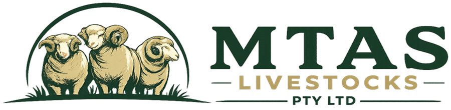 Mtas Livestocks
