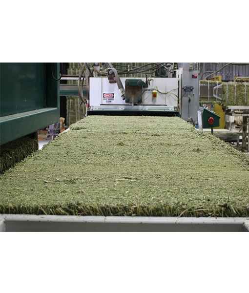 Alfalfa Hay