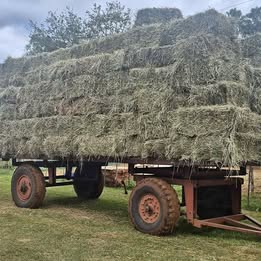 Mixed Hay